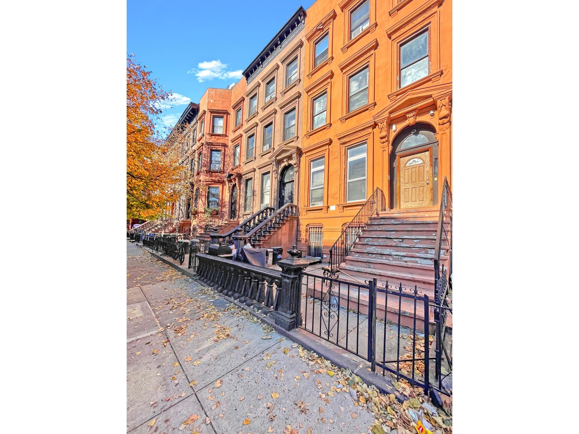 17. 23 Brevoort Place