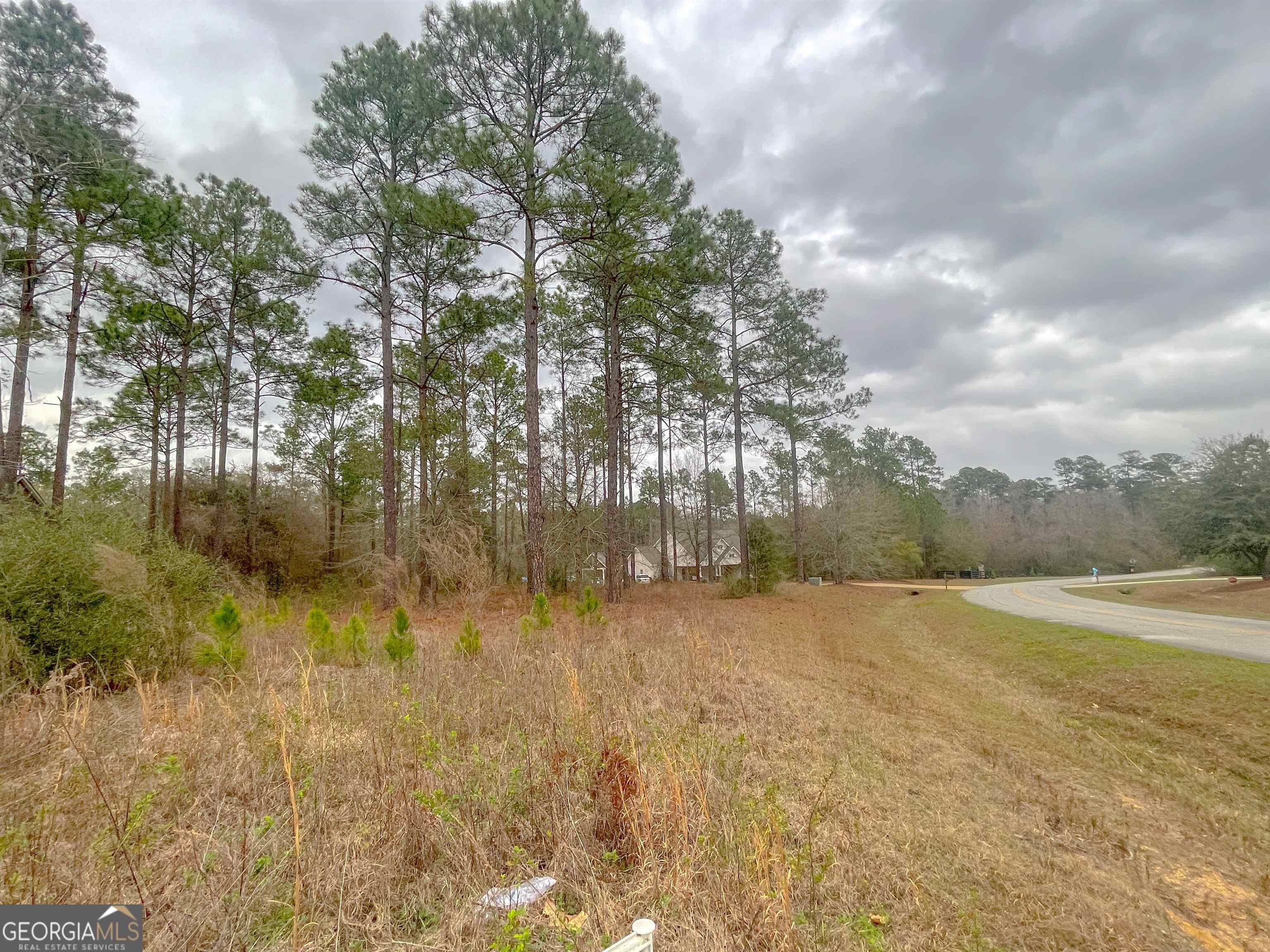 2. Lot 29 Tanglewood Dr